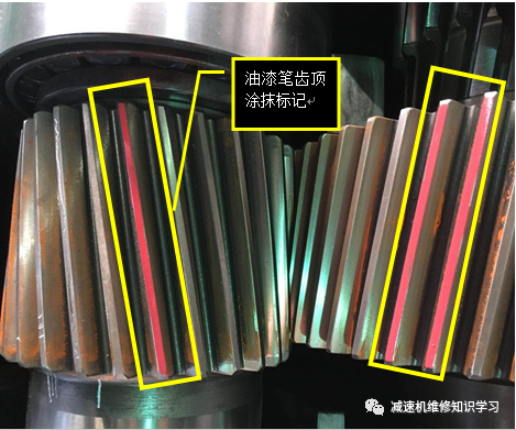 泰興減速機(jī),減速機(jī),泰興減速機(jī)廠(chǎng),江蘇泰強(qiáng)減速機(jī)有限公司